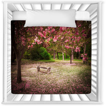 Tranquil Garden Bench Surrounded By Cherry Blossom Trees Nursery Decor 52571978