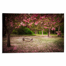Tranquil Garden Bench Surrounded By Cherry Blossom Trees Rugs 52571978