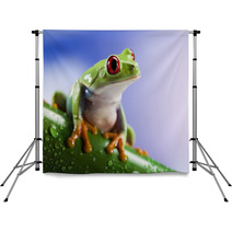 Tree Frog	 Backdrops 42707490