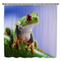 Tree Frog	 Bath Decor 42707490