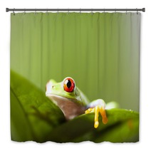 Tree Frog Bath Decor 67351176