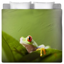 Tree Frog Bedding 67351176