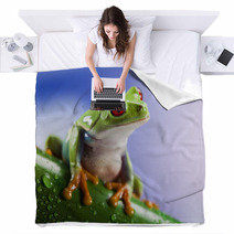 Tree Frog	 Blankets 42707490