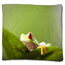 Tree Frog Blankets 67351176