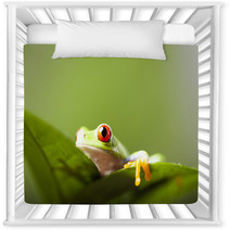 Tree Frog Nursery Decor 67351176