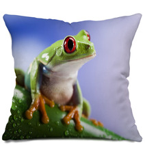 Tree Frog	 Pillows 42707490