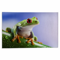 Tree Frog	 Rugs 42707490
