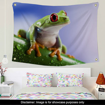 Tree Frog	 Wall Art 42707490