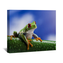 Tree Frog	 Wall Art 42709255