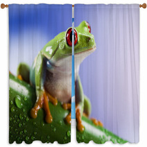 Tree Frog	 Window Curtains 42707490