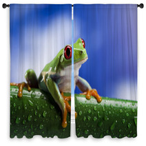 Tree Frog	 Window Curtains 42709255