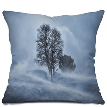Tree In Snow Blizzard Pillows 61574750