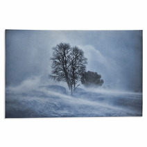 Tree In Snow Blizzard Rugs 61574750