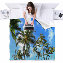 Trees and blue sky of Hawaii palm Blankets 66558716