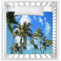 Trees and blue sky of Hawaii palm Nursery Decor 66558716