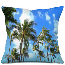 Trees and blue sky of Hawaii palm Pillows 66558716