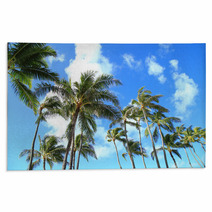 Trees and blue sky of Hawaii palm Rugs 66558716