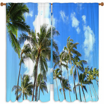 Trees and blue sky of Hawaii palm Window Curtains 66558716