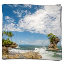 Tropical Beach Blankets 61774651