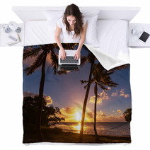 Tropical Beach Blankets 63242644