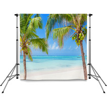 Tropical Beach With Coconut Palms And Transparent Waters Backdrops 57963564