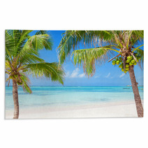 Tropical Beach With Coconut Palms And Transparent Waters Rugs 57963564