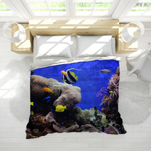 Tropical Fish Bedding 460340
