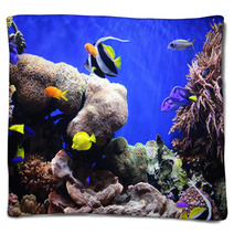 Tropical Fish Blankets 460340