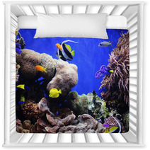 Tropical Fish Nursery Decor 460340