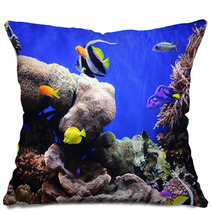 Tropical Fish Pillows 460340