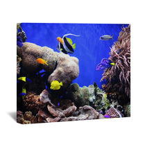 Tropical Fish Wall Art 460340