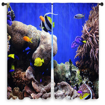 Tropical Fish Window Curtains 460340