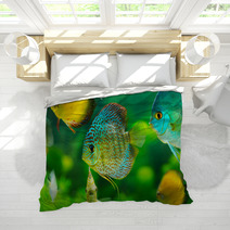 Tropical Fishes Bedding 57644150