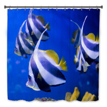 Tropical Fishes Swim Near Coral Reef. Selective Focus Bath Decor 69578196