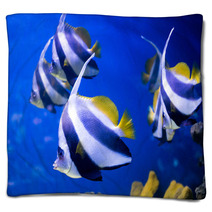 Tropical Fishes Swim Near Coral Reef. Selective Focus Blankets 69578196