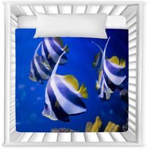 Tropical Fishes Swim Near Coral Reef. Selective Focus Nursery Decor 69578196