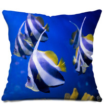 Tropical Fishes Swim Near Coral Reef. Selective Focus Pillows 69578196