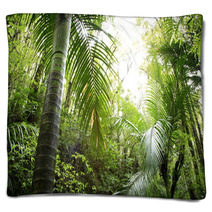 Tropical Forest Blankets 6824575