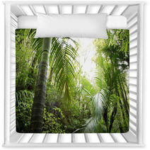 Tropical Forest Nursery Decor 6824575