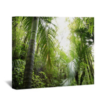 Tropical Forest Wall Art 6824575