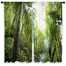 Tropical Forest Window Curtains 6824575