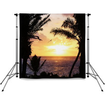 Tropical Palm Tree Sunset With Pelican Flying Backdrops 64421673