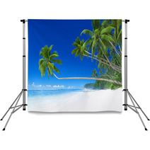Tropical Paradise Beach Backdrops 64933369