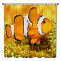 Tropical Reef Fish - Clownfish (Amphiprion Ocellaris). Bath Decor 48863135