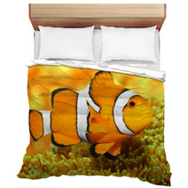 Tropical Reef Fish - Clownfish (Amphiprion Ocellaris). Bedding 48863135