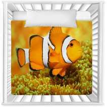 Tropical Reef Fish - Clownfish (Amphiprion Ocellaris). Nursery Decor 48863135