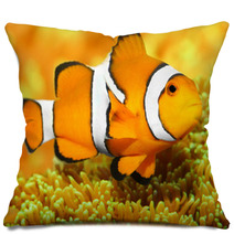 Tropical Reef Fish - Clownfish (Amphiprion Ocellaris). Pillows 48863135