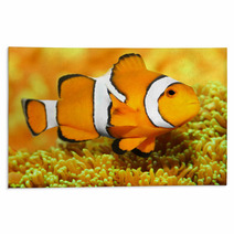 Tropical Reef Fish - Clownfish (Amphiprion Ocellaris). Rugs 48863135