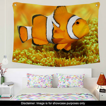 Tropical Reef Fish - Clownfish (Amphiprion Ocellaris). Wall Art 48863135