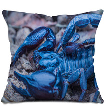 Tropical Scorpion In Thailand Pillows 91037879